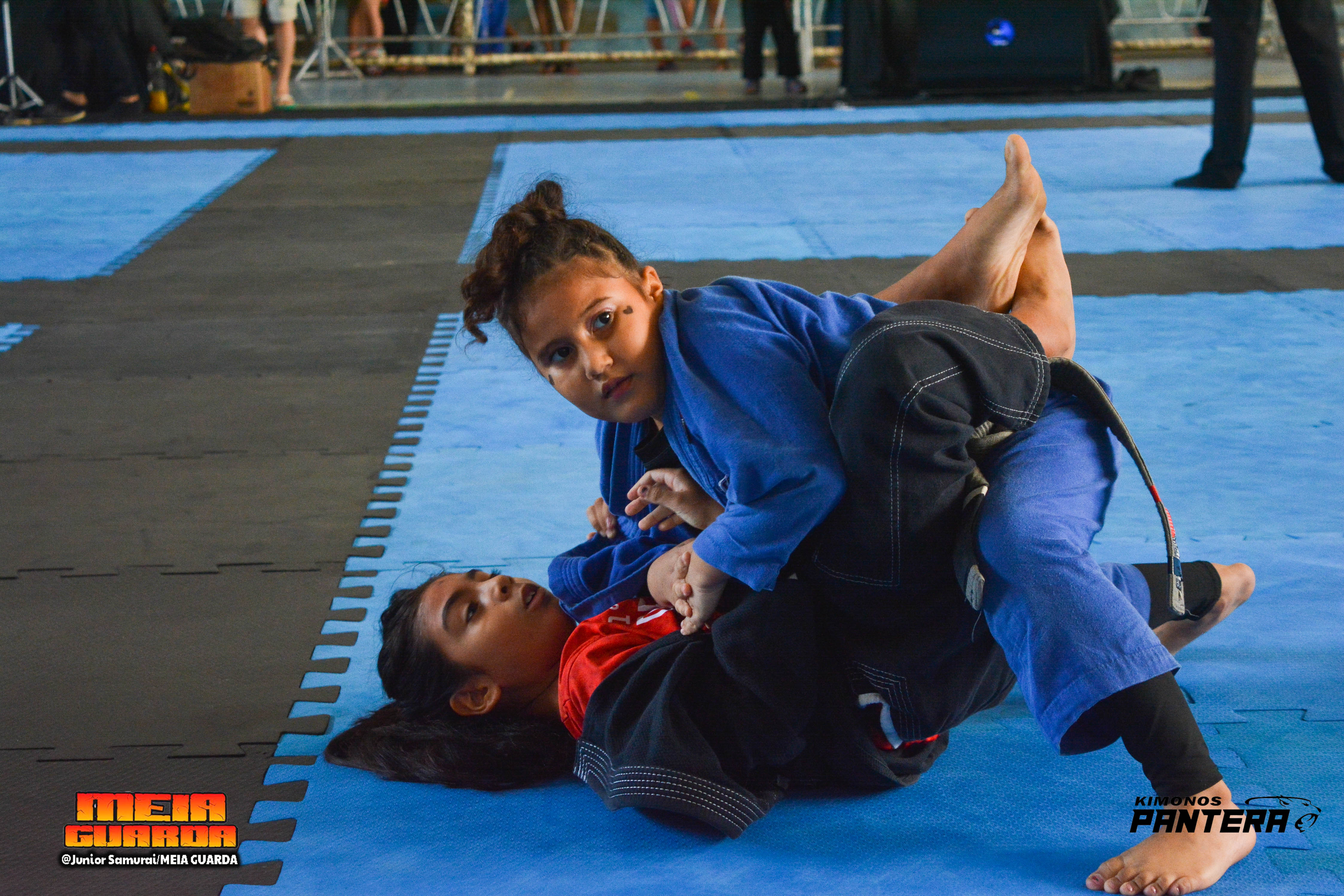 NORDESTE BELT