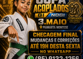 Verifique a checagem final da Copa Acoplados